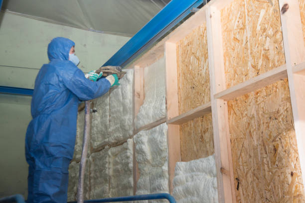 Best Insulation Removal  in Lake Shore, WA