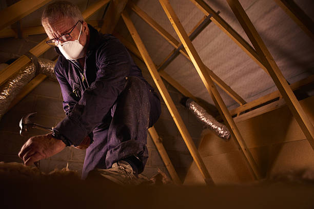 Insulation Replacement Services in Lake Shore, WA