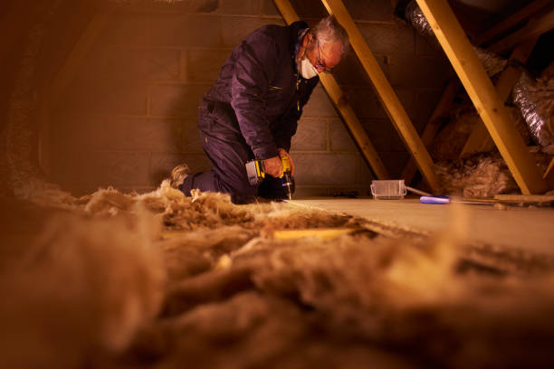 Best Professional Insulation Contractor  in Lake Shore, WA